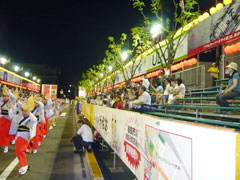 開幕した徳島市の阿波踊り、空席目立つ有料桟敷席、なぜか少ない「見る阿呆」…