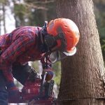 就業支援給付金２５，０００円を返還、県内林業関連企業、告発された「不正受給」の手口…