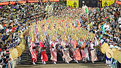 「国民祭典」で天皇の即位を祝う阿波踊り、踊るのは東京高円寺の踊り連、お呼びかからなかった本場・徳島の有名連…